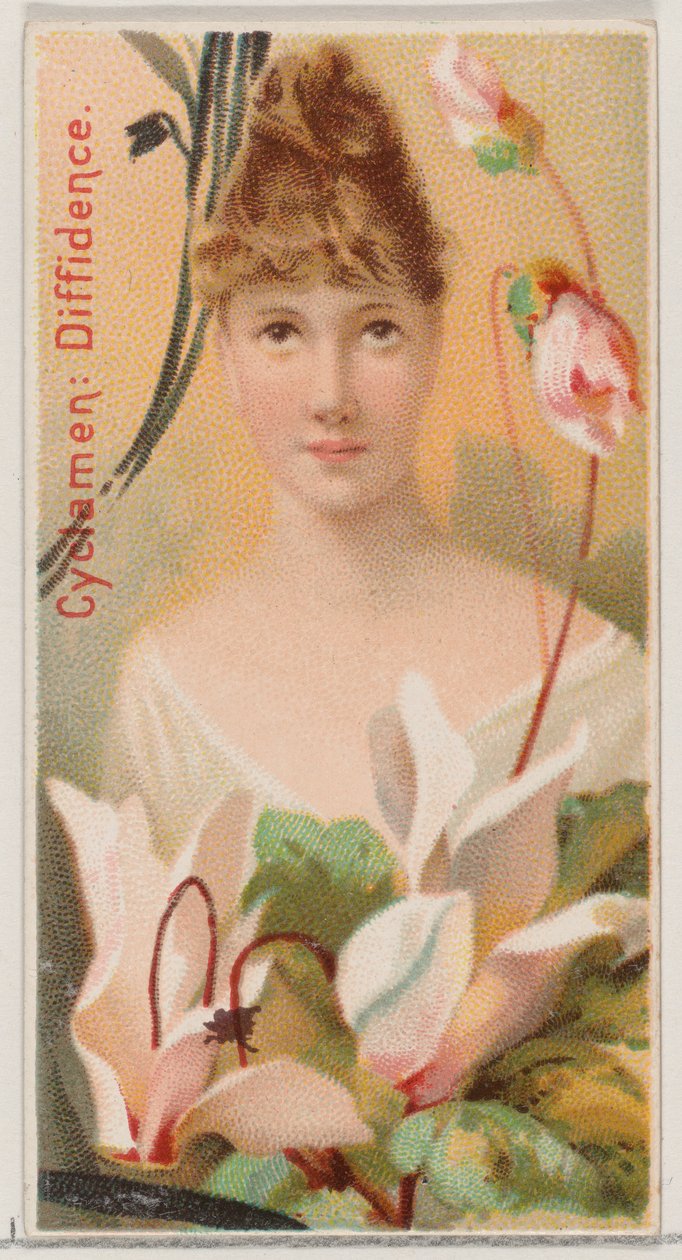 Cyclamen: Diffidence, fra serien Floral Beauties and Language of Flowers N75 for Du..., 1892. af Donaldson Brothers