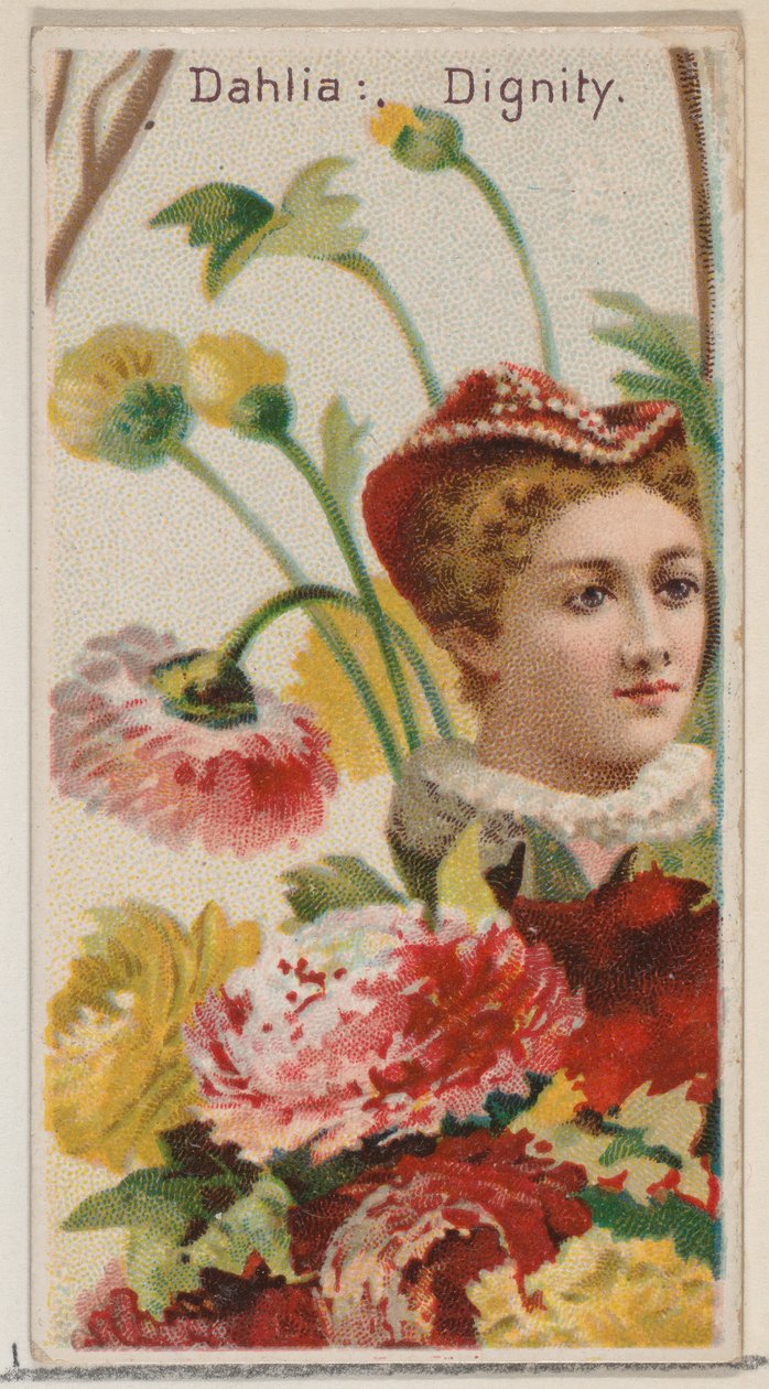 Dahlia: Dignity, fra serien Floral Beauties and Language of Flowers N75 for Duke br..., 1892. af Donaldson Brothers
