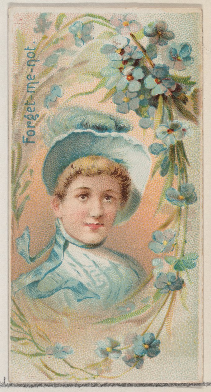 Forget-Me-Not, fra serien Floral Beauties and Language of Flowers N75 for Duke bran..., 1892. af Donaldson Brothers