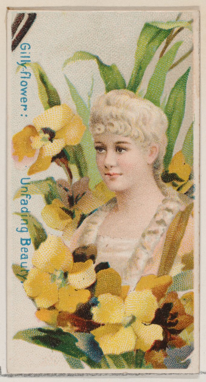 Gilly-flower: Unfading Beauty, fra serien Floral Beauties and Language of Flowers N7..., 1892. af Donaldson Brothers