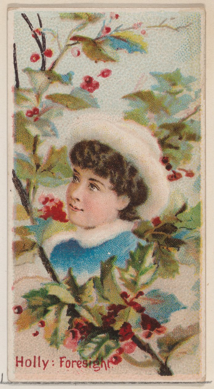 Holly: Foresight, fra serien Floral Beauties and Language of Flowers N75 for Duke f..., 1892. af Donaldson Brothers