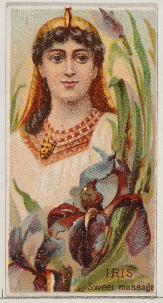 Iris: Sweet Message, fra serien Floral Beauties and Language of Flowers N75 for Duk..., 1892. af Donaldson Brothers