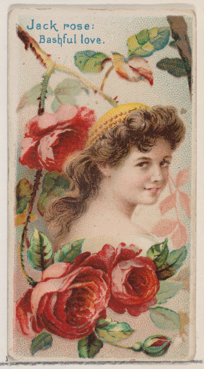 Jack Rose: Bashful Love, fra serien Floral Beauties and Language of Flowers N75 for..., 1892. af Donaldson Brothers