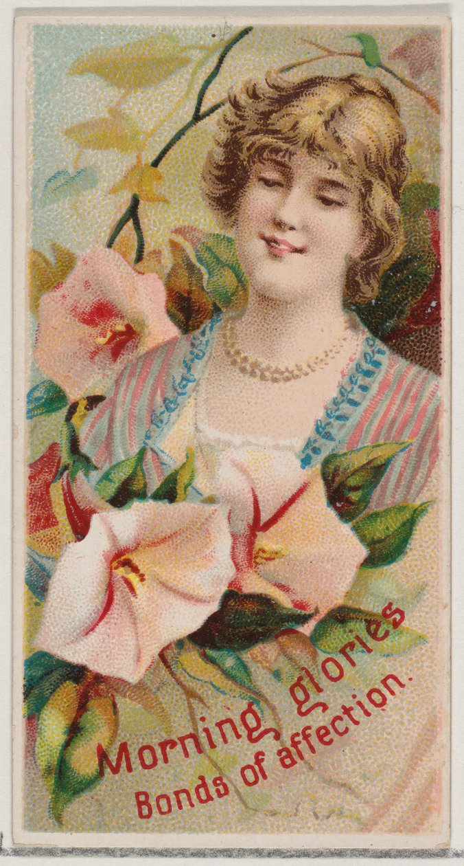 Morning Glories: Bonds of Affection, fra serien Floral Beauties and Language of Flowe..., 1892. af Donaldson Brothers