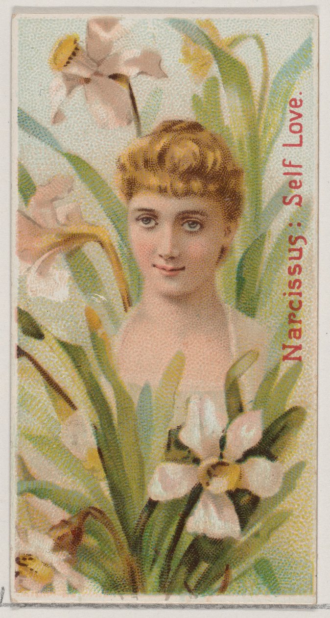 Narcissus: Self Love, fra serien Floral Beauties and Language of Flowers N75 for Du..., 1892. af Donaldson Brothers