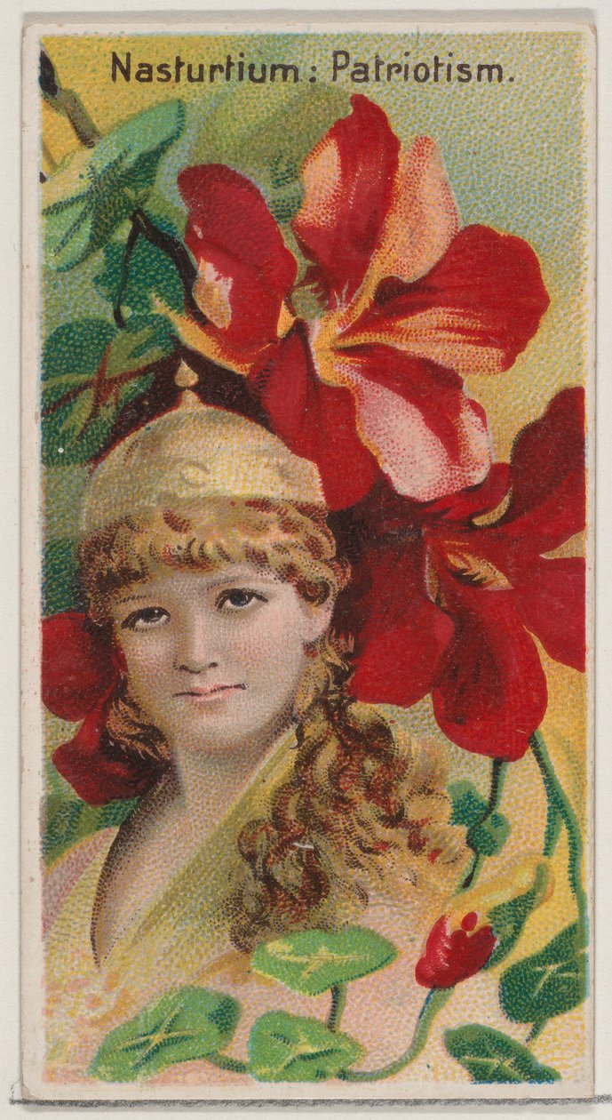 Nasturtium: Patriotism, fra serien Floral Beauties and Language of Flowers N75 for ..., 1892. af Donaldson Brothers
