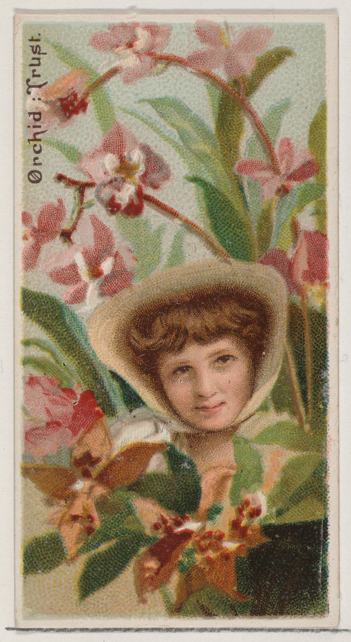 Orchid: Trust, fra serien Floral Beauties and Language of Flowers N75 for Duke bran..., 1892. af Donaldson Brothers