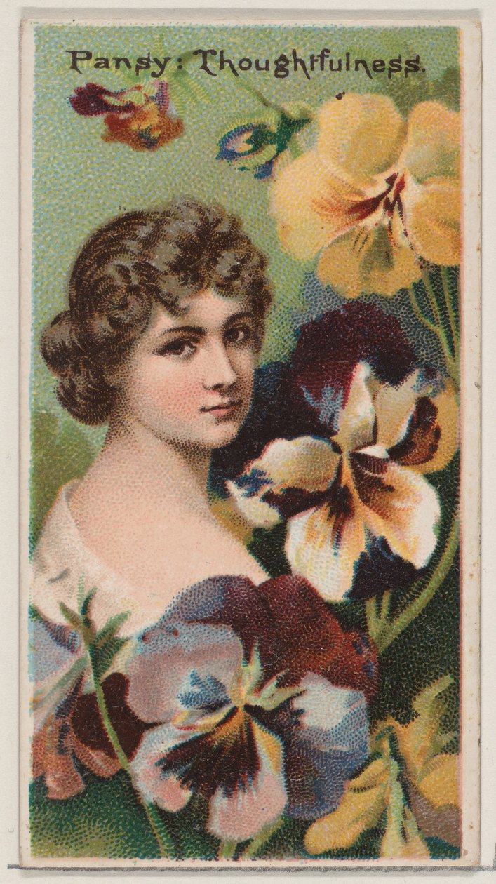 Pansy: Thoughtfulness, fra serien Floral Beauties and Language of Flowers N75 for D..., 1892. af Donaldson Brothers