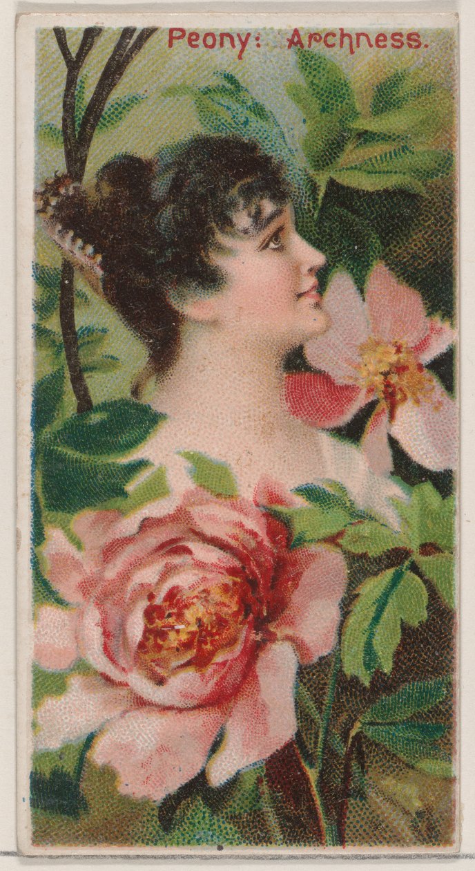 Peony: Archness, fra serien Floral Beauties and Language of Flowers N75 for Duke br..., 1892. af Donaldson Brothers