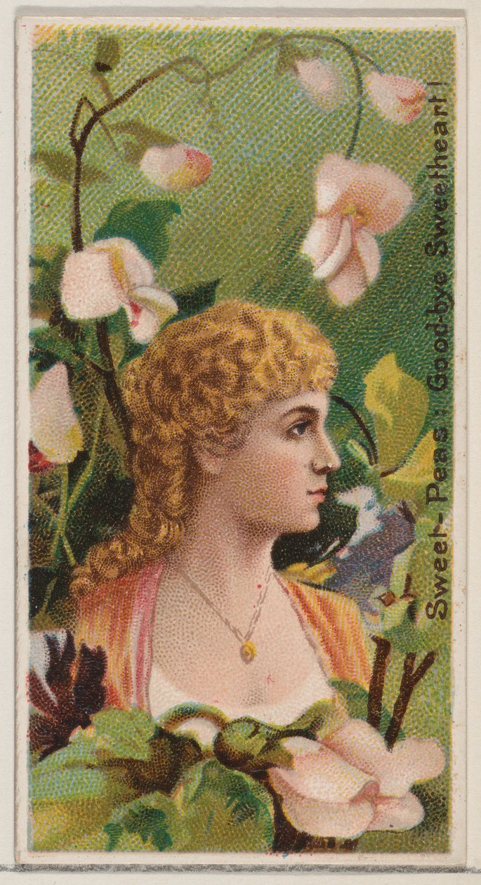 Sweet-Peas: Goodbye Sweetheart!, fra serien Floral Beauties and Language of Flowers ..., 1892. af Donaldson Brothers