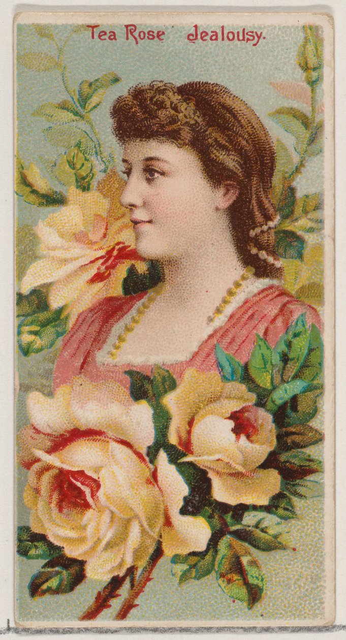 Tea Rose: Jalousi, fra serien Floral Beauties and Language of Flowers N75 for Duke..., 1892. af Donaldson Brothers