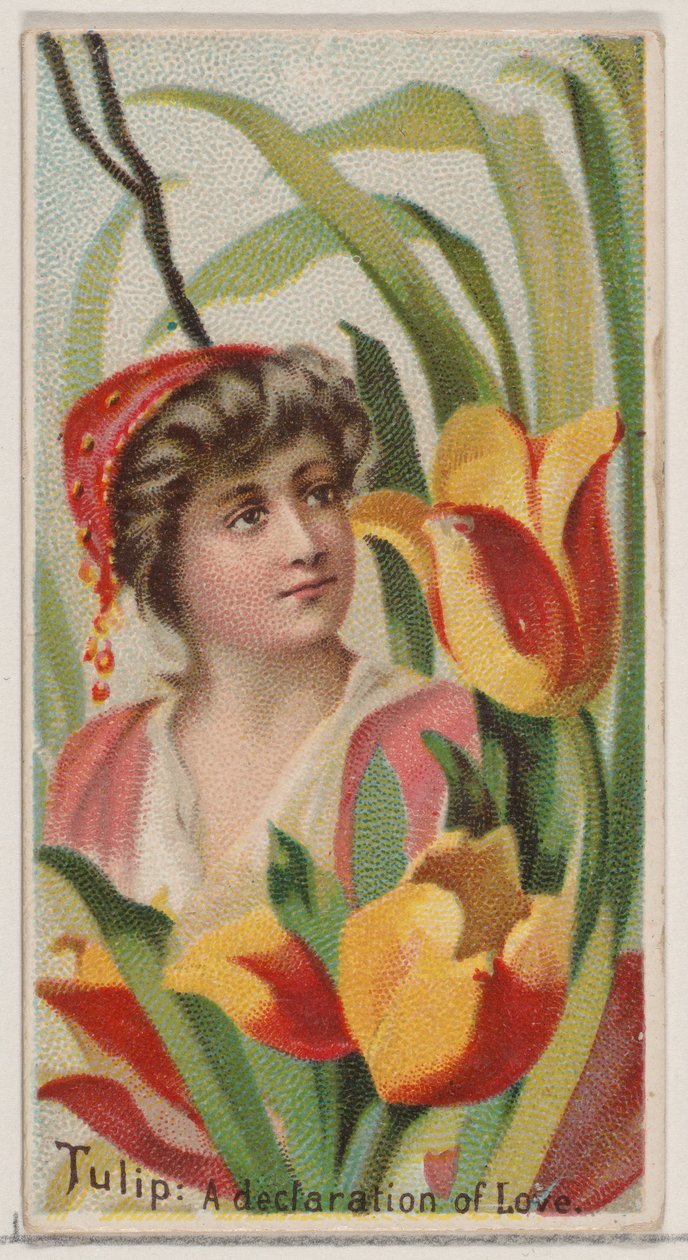 Tulip: A Declaration of Love, fra serien Floral Beauties and Language of Flowers N75..., 1892. af Donaldson Brothers