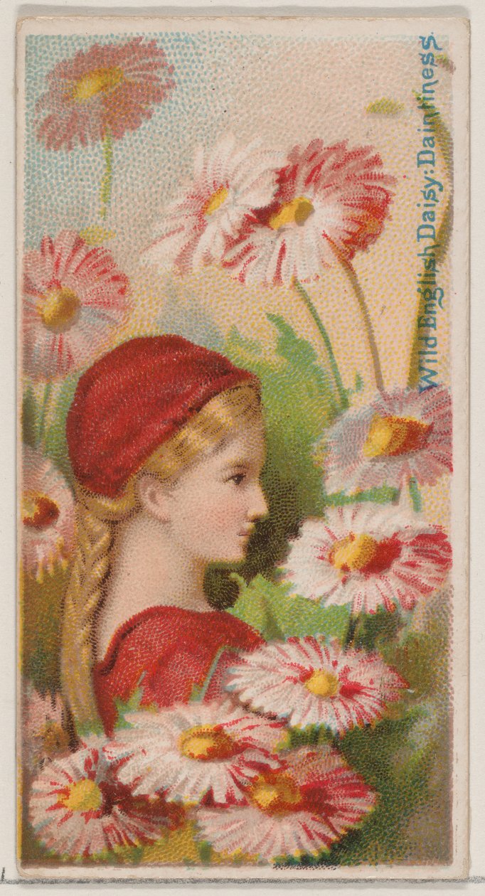 Wild English Daisy: Daintiness, fra serien Floral Beauties and Language of Flowers N..., 1892. af Donaldson Brothers
