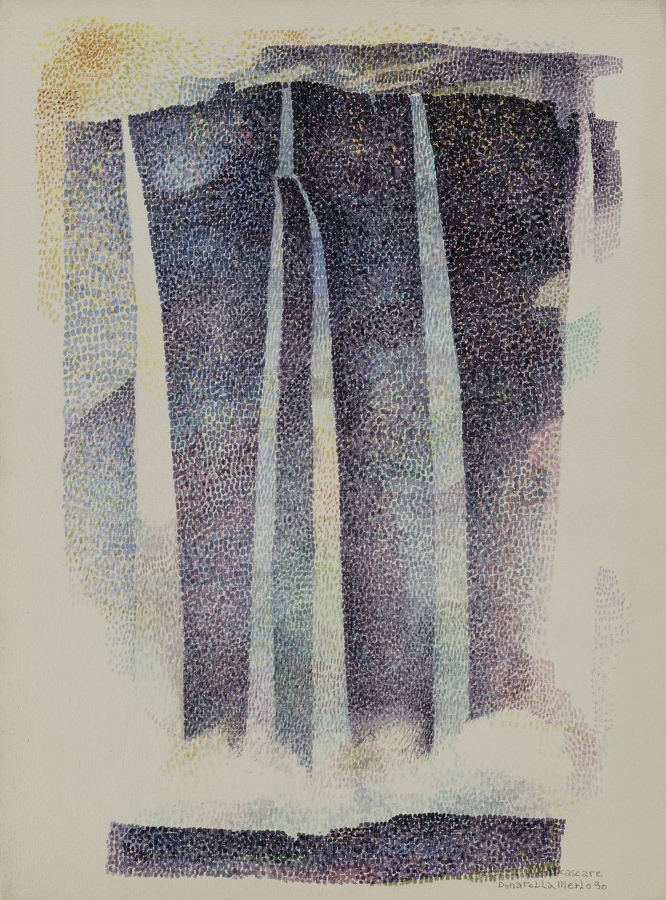 Vandfald (Argentina) af Donatella Merlo