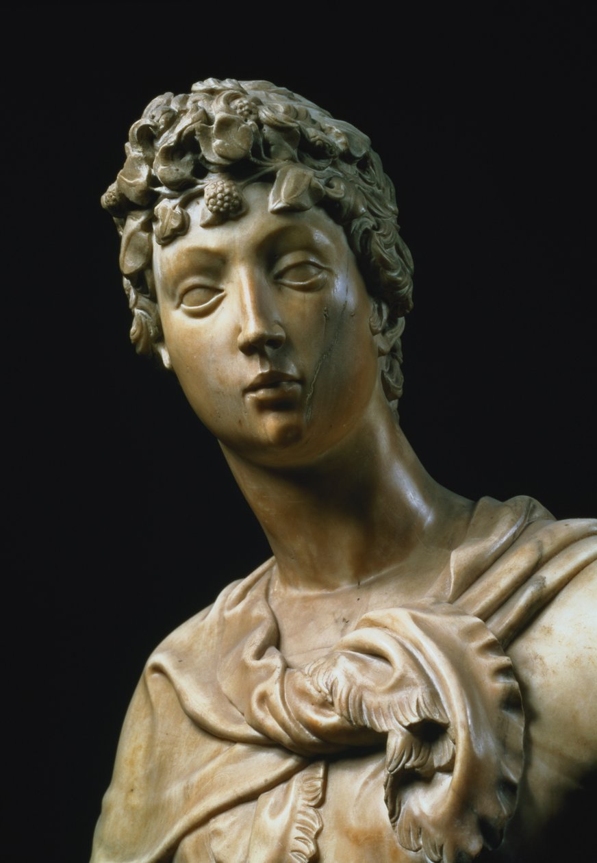 David, detalje af hovedet, 1408 marmordetalje af 79334 af Donatello