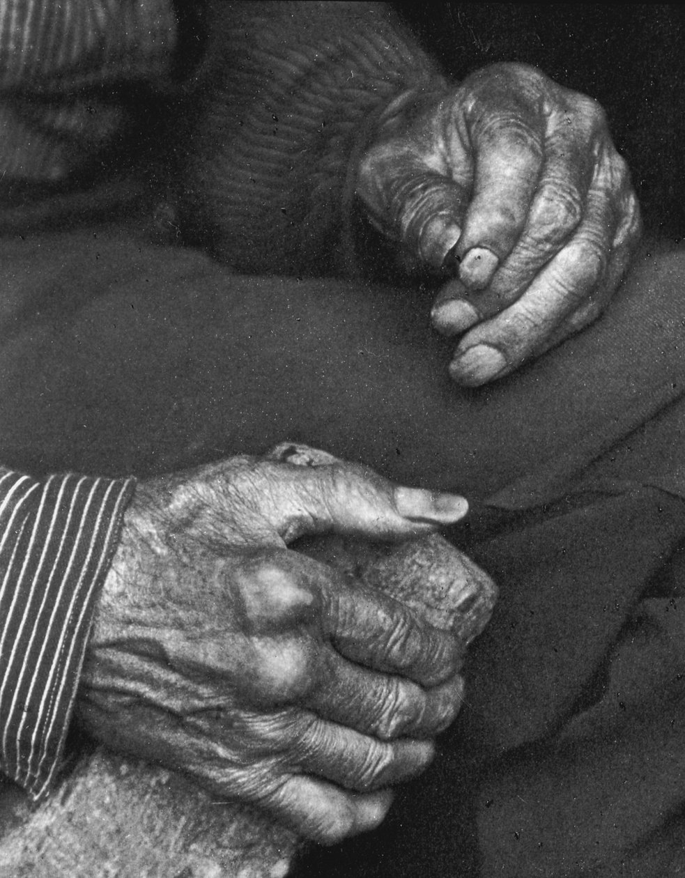 En arbejderhænder, 1925 af Doris Ulmann