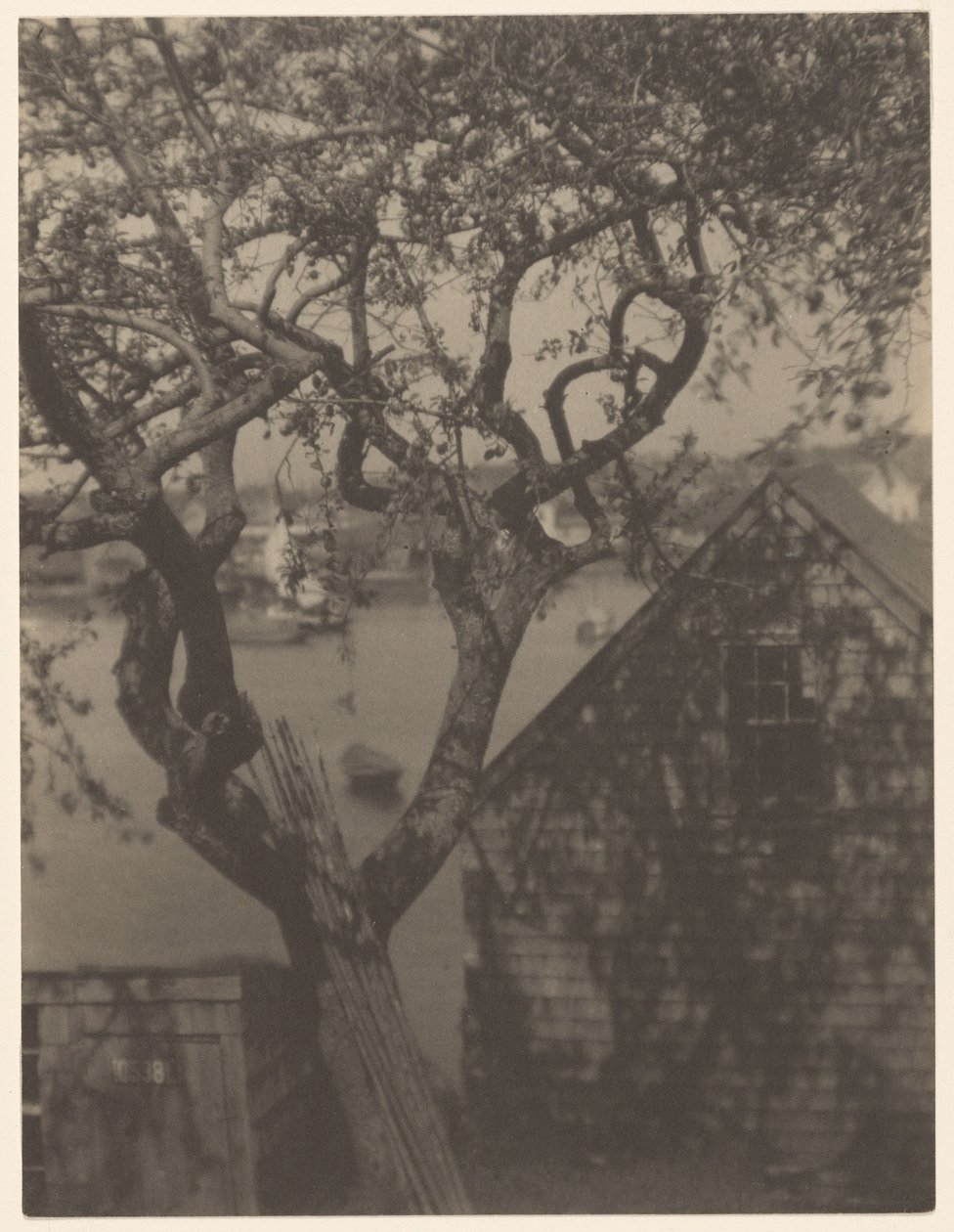 Havnescene, sandsynligvis Gloucester, Massachusetts af Doris Ulmann