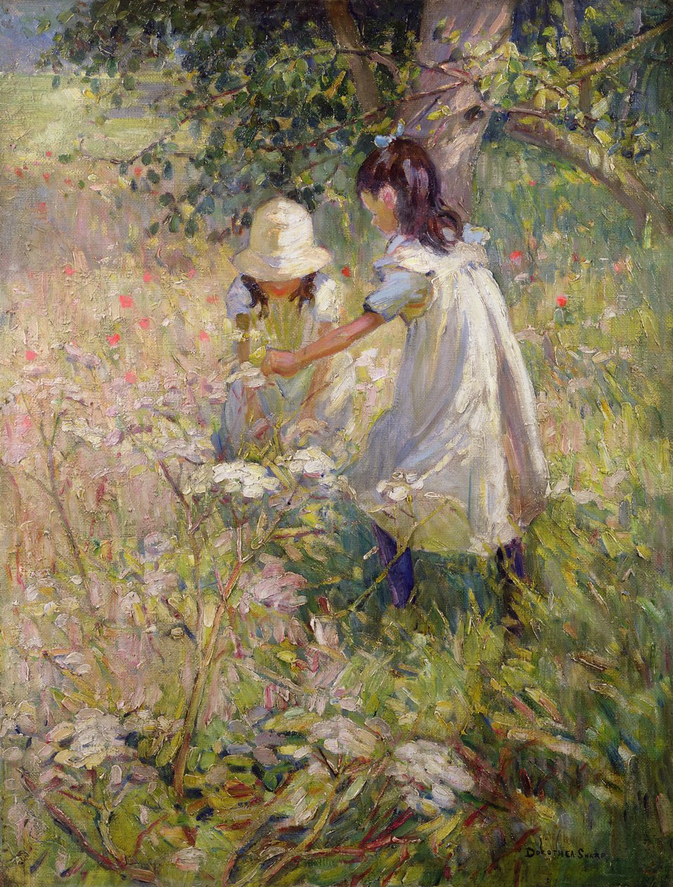  af Dorothea Sharp