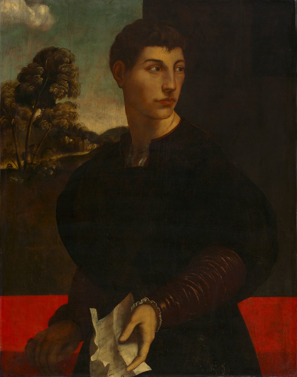 Portræt af en ung mand, ca. 1530 (olie og guld på træ) af Dosso (follower of) Dossi