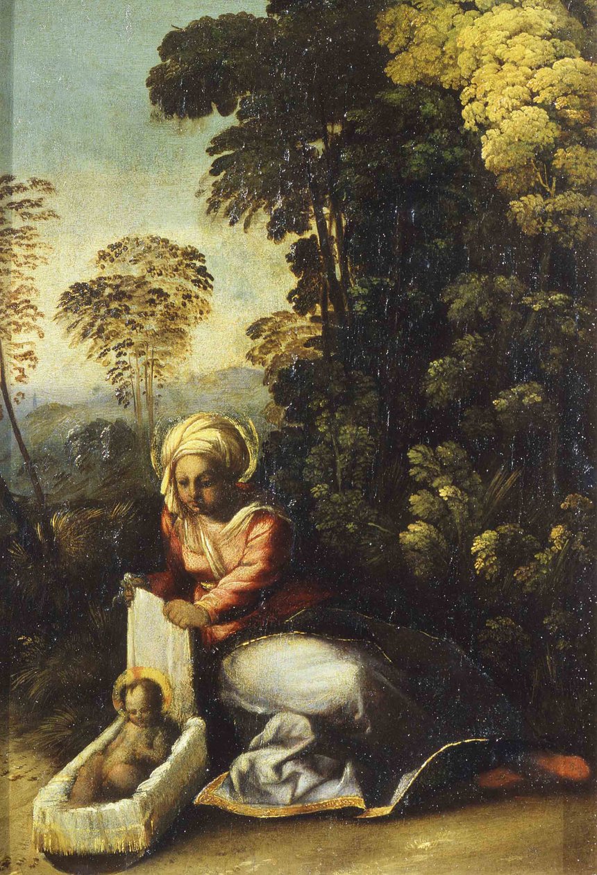 Madonna with Child La Zingarella, c 1513dani af Dosso Dossi