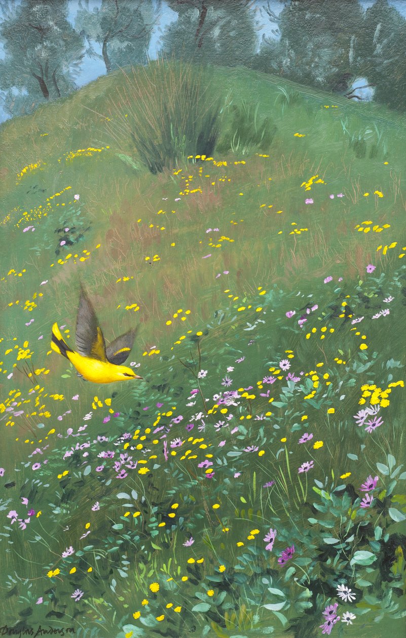 Gylden Oriel i forårsblomster af Douglas Anderson