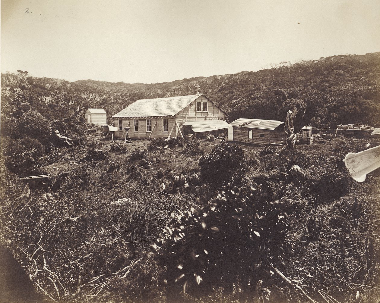 Den tyske Venuspassageekspedition, Auckland Islands, 1874-75 (albumenprint) af Dr. Guido Wolfram