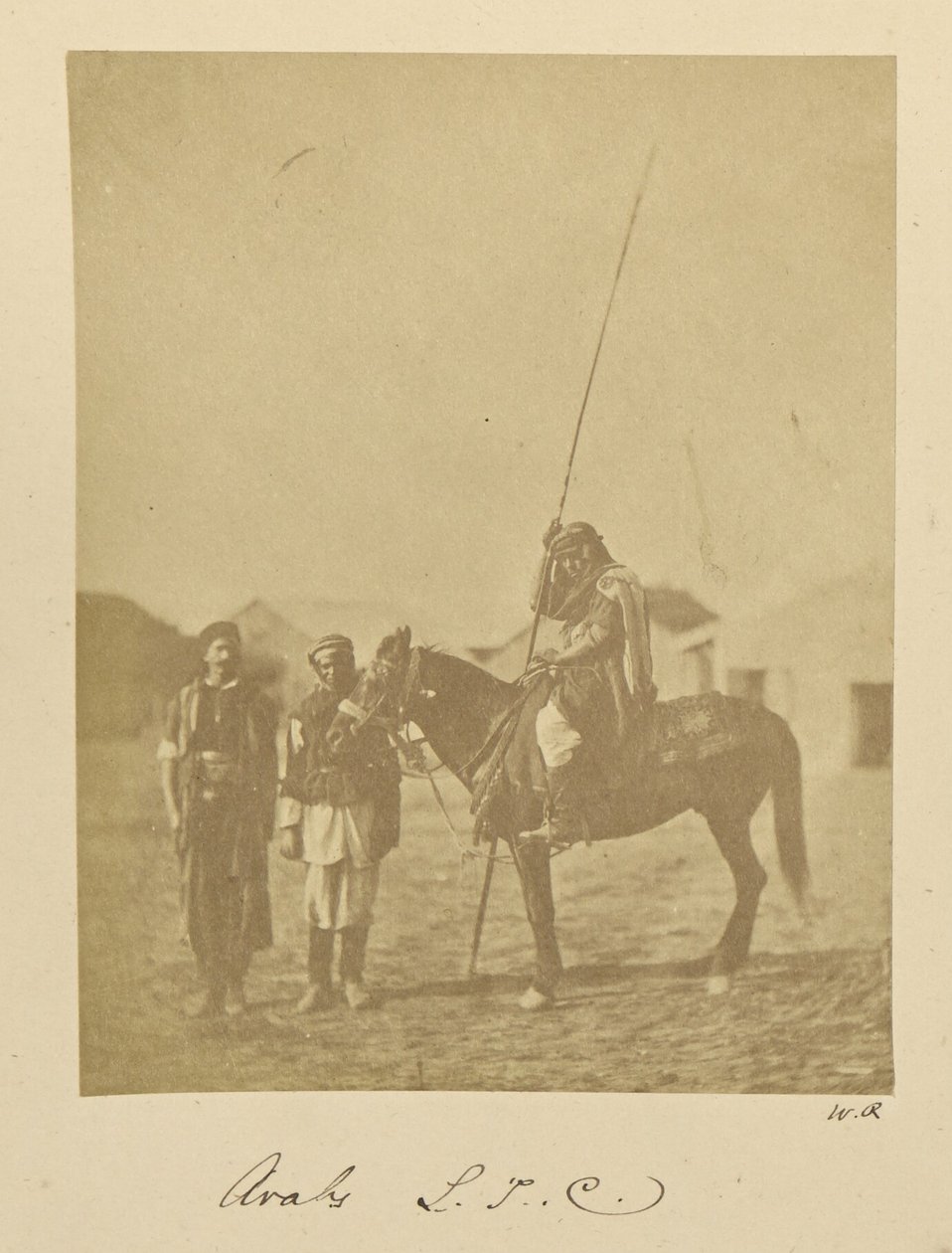 Arabere. L.T.C. af Dr. William Robertson