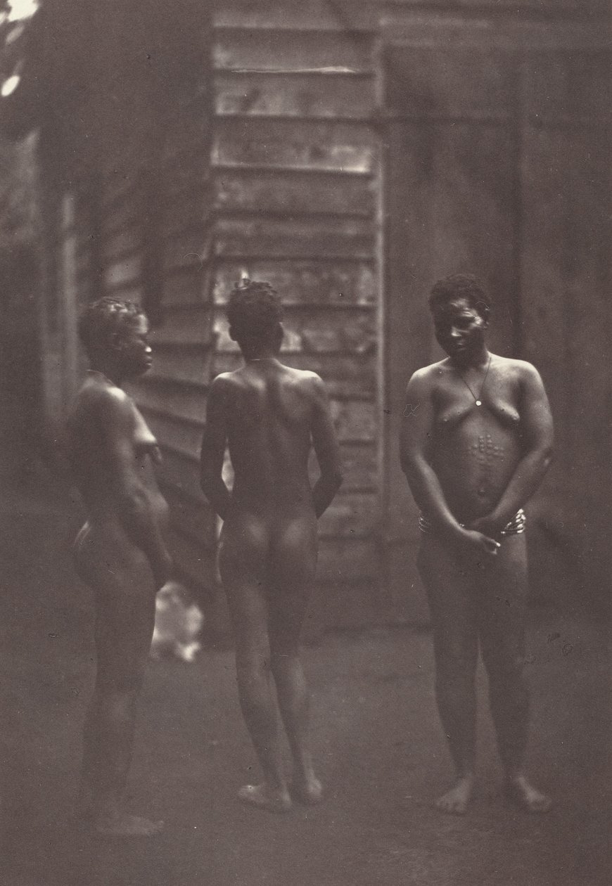 Tre madagaskiske kvinder (planche 30),1863 (foto) af Désiré Charnay