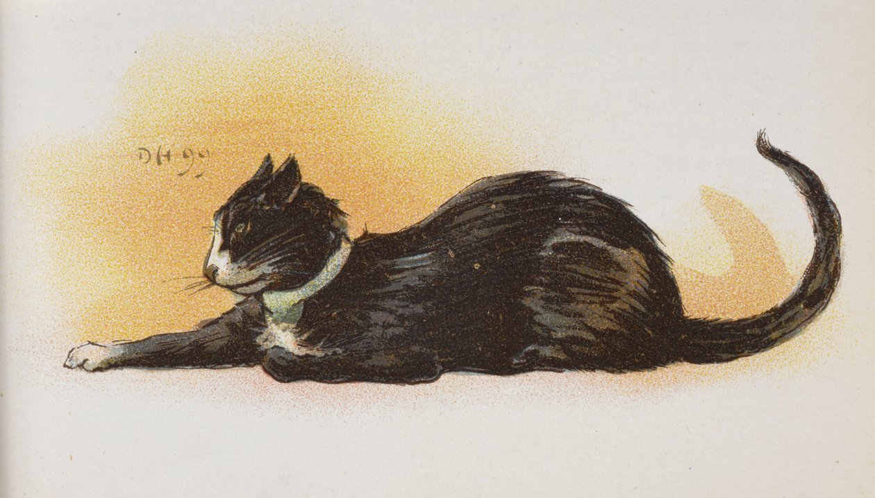 En kat. af Dudley Hardy