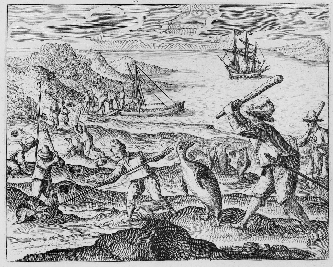 Pingvinjagt, 1598 af Dutch School