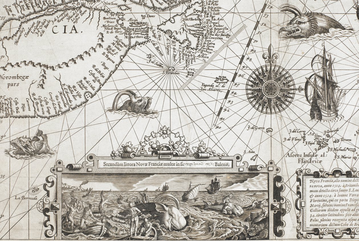 En detalje af to gammeldags hvallignende havmonstre og et indskud med mere naturtro hvaler, fra 