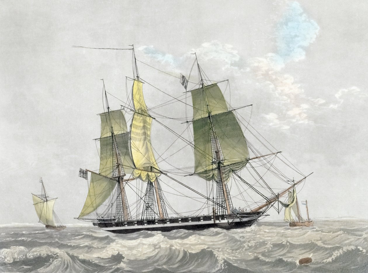 Amerikansk flådekorvet under sejl, begyndelsen af det 19. århundrede (tryk) af Dutch School