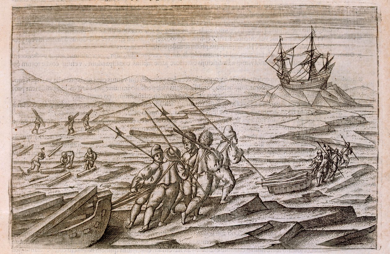 Indsamling af drivtømmer til hytten, hvori ekspeditionen overvintrede, illustration fra Diarium Nauticum, seu vera descriptio trium navigationum admirandarum... af Gerrit de Veer, 1598 af Dutch School
