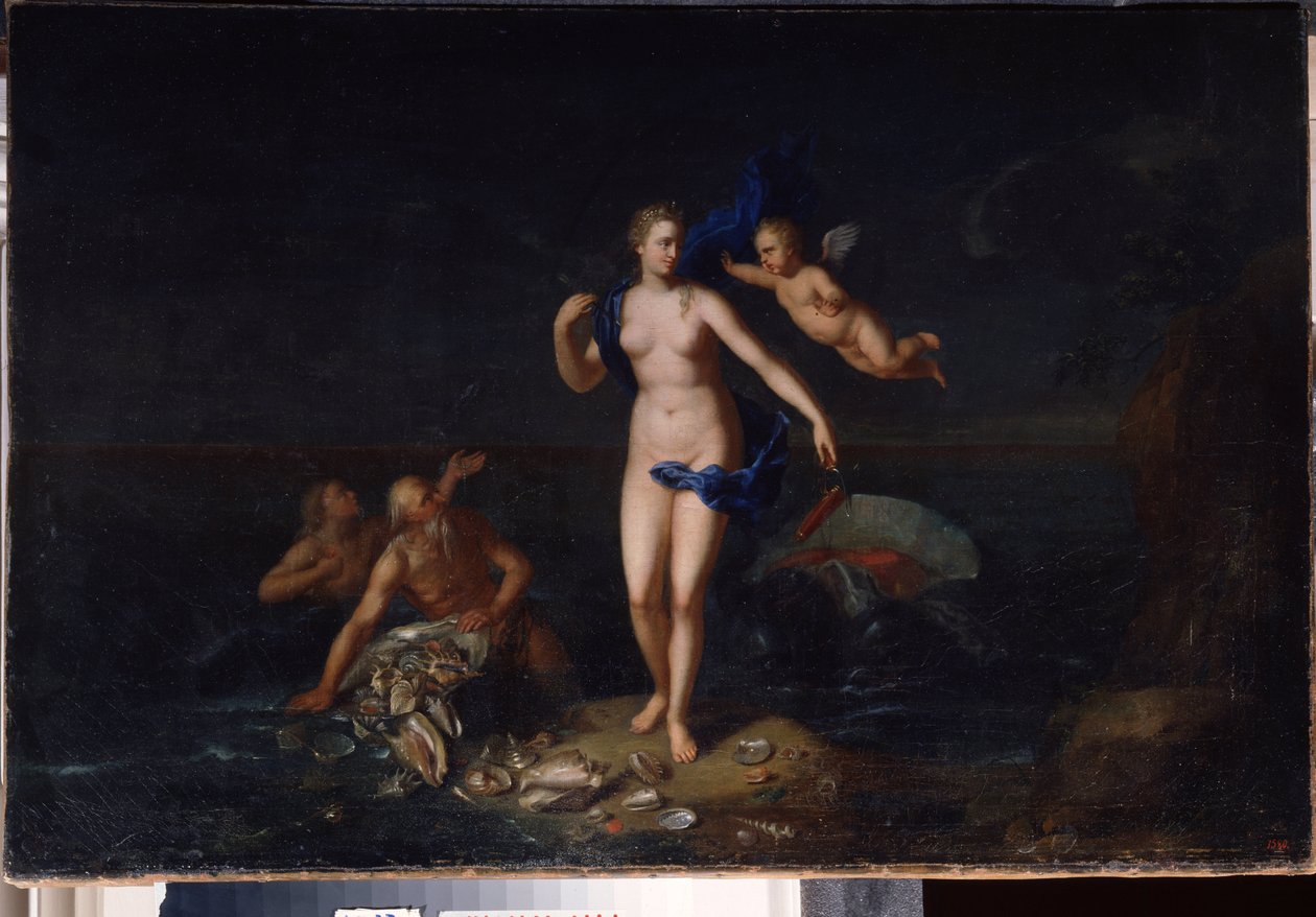 ""Venus fødsel"" (Venus fødsel) Anonymt hollandsk skolemaleri fra det 18. århundrede 1729 Statens Friluftsmuseum Palace Gatchina, Sankt Petersborg, Rusland af Dutch School