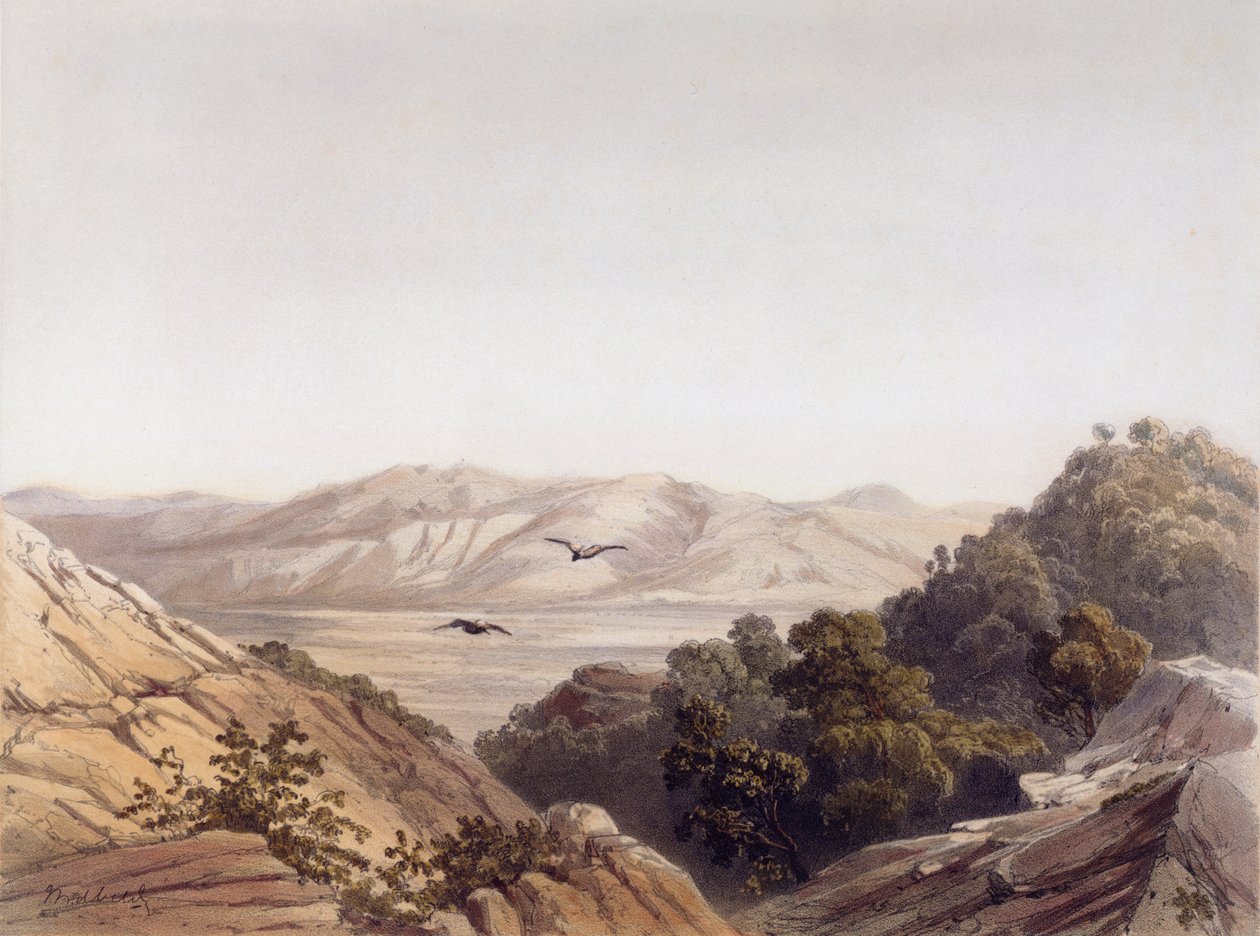 Mount Carmel, Israel, graveret af L. A Sabatier af Dutch School