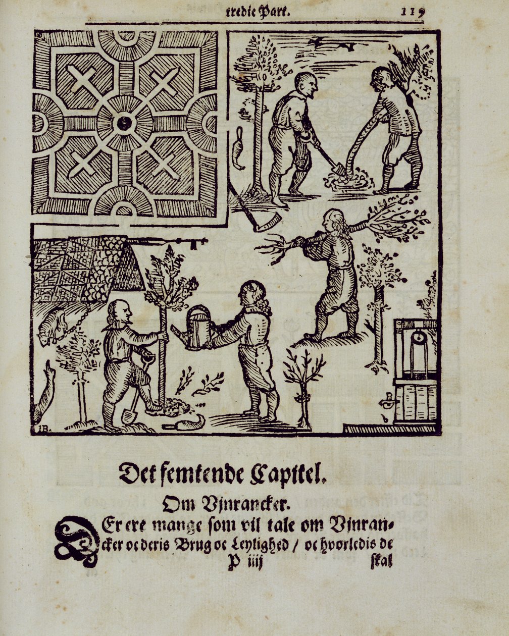 Plantning af træer, fra The Dutch Gardener af Johann van der Groen, udgivet 1699 af Dutch School