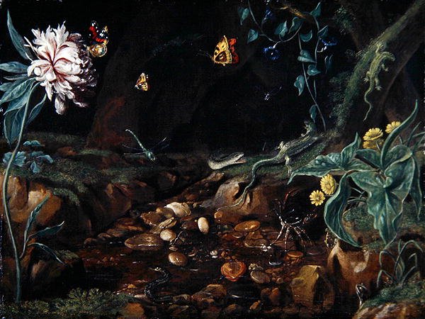 Stream i en dell med blomster og krybdyr (olie på lærred) af Dutch School