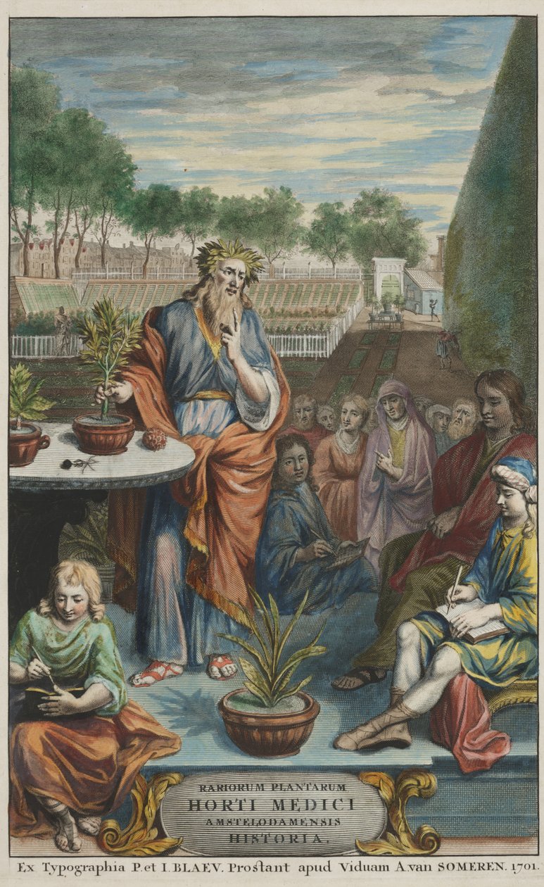 Titelblad fra "Horti Medici Amstelodamensis Rariorum Plantarum Historia" bind II, af Jan Commelin og Caspar Commelin af Dutch School