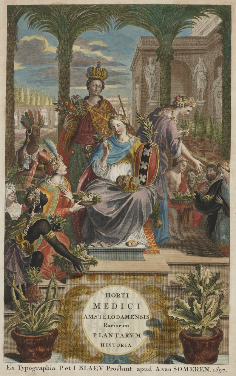 Titelblad fra "Horti Medici Amstelodamensis Rariorum Plantarum Historia" bind I, af Jan Commelin af Dutch School