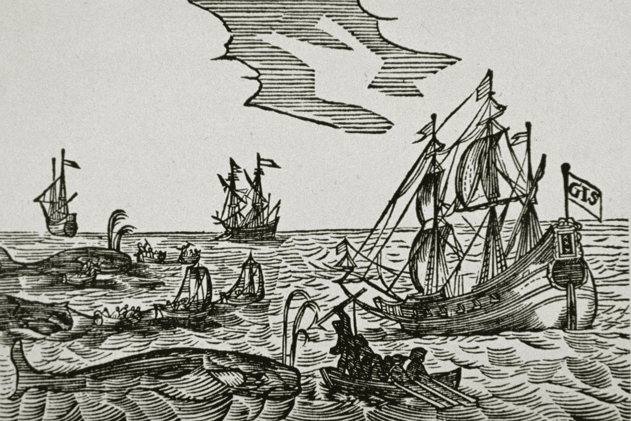 Hvalfangstskibe, fra Jacob Segersz van der Brugges 