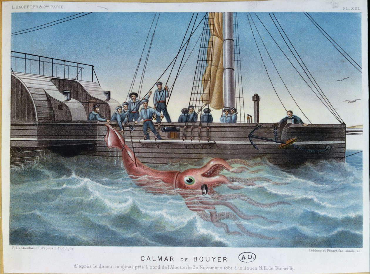 Den kæmpe blæksprutte fanget af Alecton ud for Tenerifes kyst, 30. november 1861, indgraveret af Leblanc & Picart af E. Rodolphe