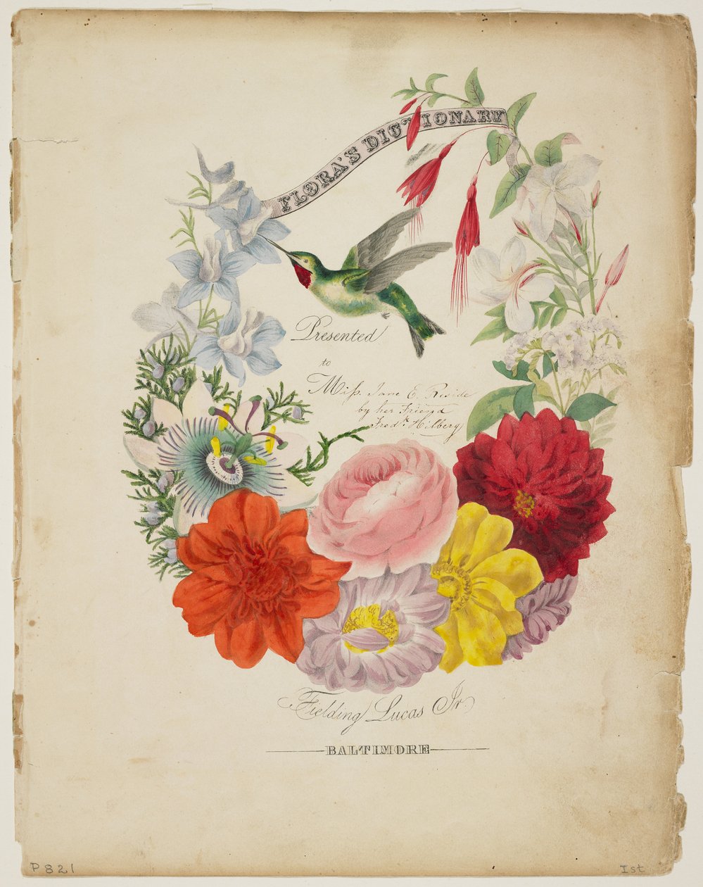 Præsentationsside, blomsterkrans og summende fugl, fra Flora