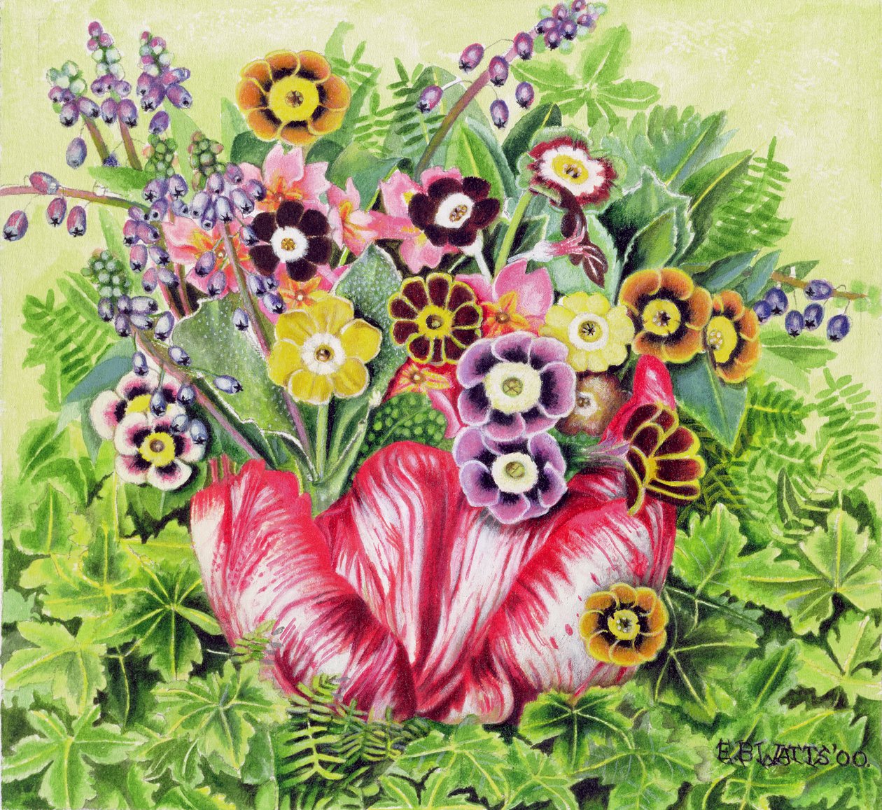 Auriculas, 2000 (akryl på lærred) af E.B. Watts
