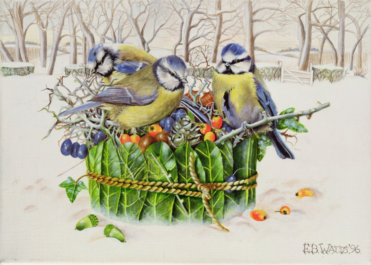 Blue Tits in Leaf Nest, 1996 (akryl på lærred) af E.B. Watts