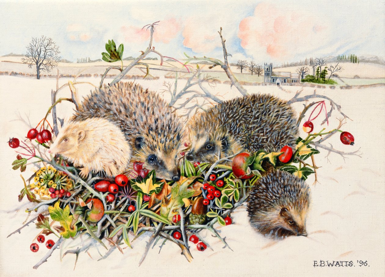 Pindsvin i Hedgerow Basket, 1996 (akryl på lærred) af E.B. Watts