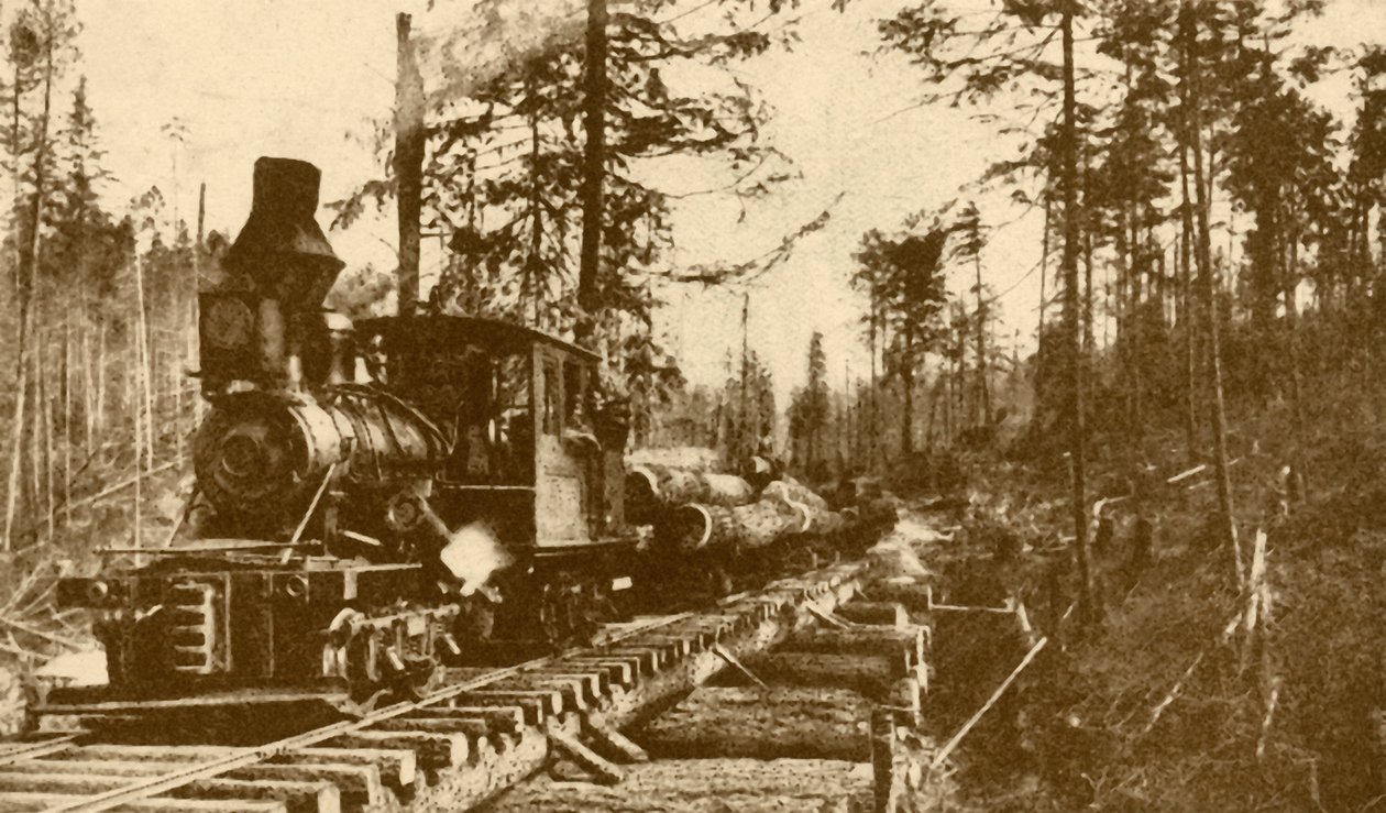 A Logging Railway, British Columbia, 1930. af ENA