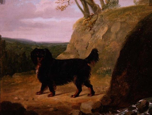 En Cocker Spaniel i Landskabet af E.W. Gill