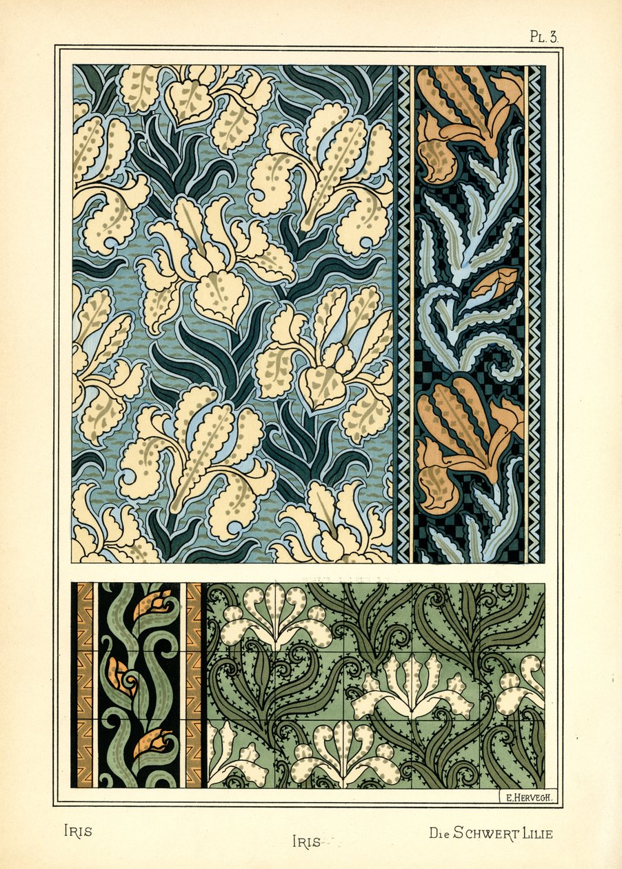 Irisen af E. Hervegh