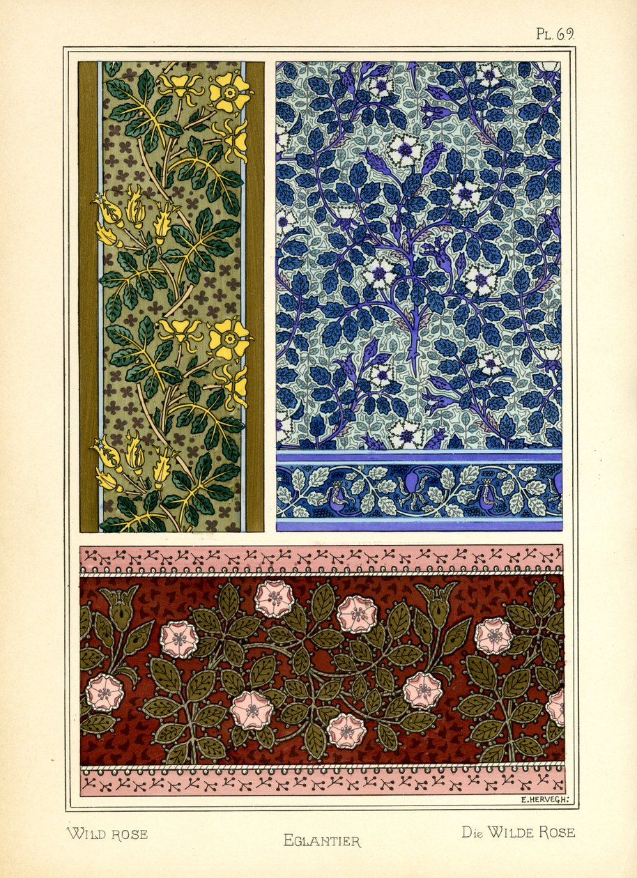 Den vilde rose af E. Hervegh