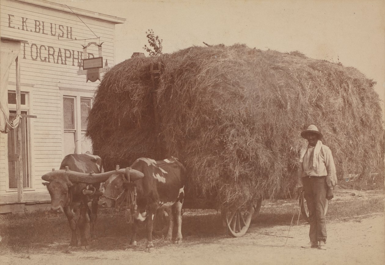 Albuminprint af en mand med fuld høvogn, 1894-1904. af E. K. Blush